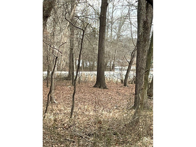 Looking for quiet seclusion near Kerr Lake? This 21 acre wooded - photo 7