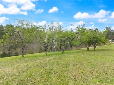 Tucked away in a private, peaceful setting, this one-of-a-kind - photo 19