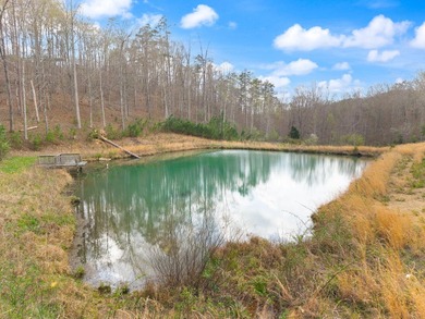 Tucked away in a private, peaceful setting, this one-of-a-kind - photo 22