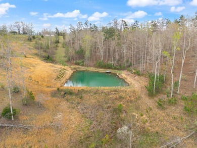 Tucked away in a private, peaceful setting, this one-of-a-kind - photo 23