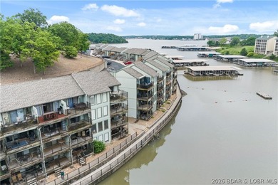 Experience lakefront living at its finest in this immaculate - photo 41