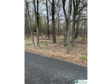 Arrowhead Lake Lot For Sale in Coolbaugh Twp Pennsylvania