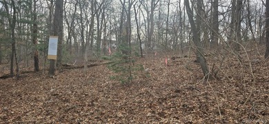 Investor alert! 2 shovel-ready lots in a high-demand - photo 2
