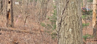Investor alert! 2 shovel-ready lots in a high-demand - photo 5