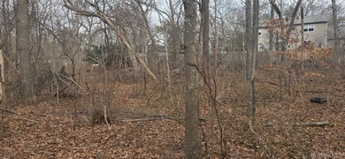 Investor alert! 2 shovel-ready lots in a high-demand - photo 6