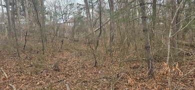 Investor alert! 2 shovel-ready lots in a high-demand - photo 7