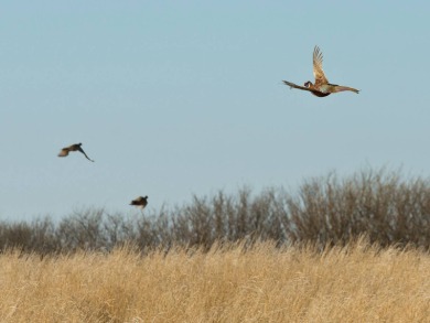 Lake Acreage For Sale in Haviland, Kansas