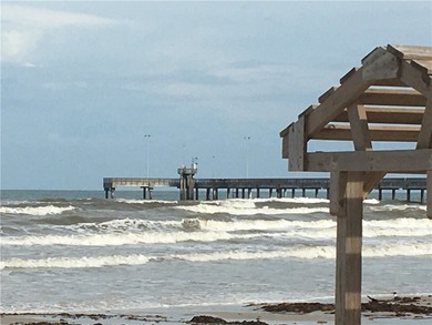 Come build your dream home on this affordable Padre Island lot - photo 4