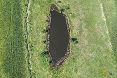 Held by the same family for generations, this remarkable 151 - photo 13