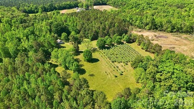 A truly one-of-a-kind offering, this income-producing blueberry - photo 4