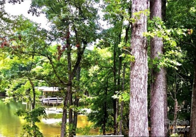 Lake Wylie Lot For Sale in Clover South Carolina