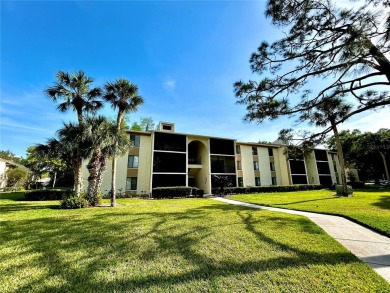 Lake Condo For Sale in Tarpon Springs, Florida