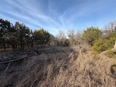 Two five acre lots that are side by side being sold as one - photo 11