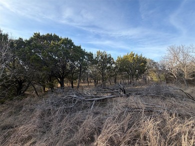 Two five acre lots that are side by side being sold as one - photo 12