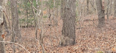 3 prime buildable lots in a growing Mastic/Shirley location! - photo 4