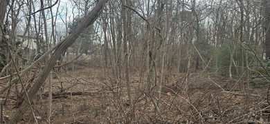 3 prime buildable lots in a growing Mastic/Shirley location! - photo 8