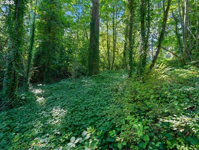 Mt Hood View potential on this private, Dunthorpe Lot, .95 Acres - photo 12