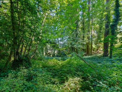 Mt Hood View potential on this private, Dunthorpe Lot, .95 Acres - photo 13