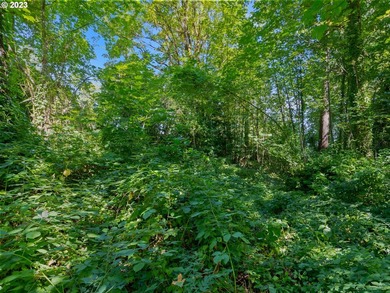 Mt Hood View potential on this private, Dunthorpe Lot, .95 Acres - photo 14
