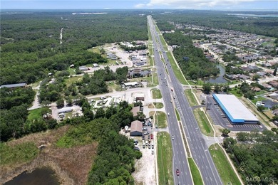 Prime 1.31-acre commercial lot on US HWY 19 in Hudson - photo 11
