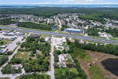 Prime 1.31-acre commercial lot on US HWY 19 in Hudson - photo 13