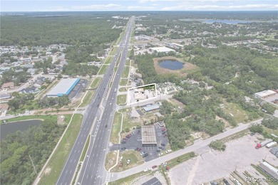 Prime 1.31-acre commercial lot on US HWY 19 in Hudson - photo 14