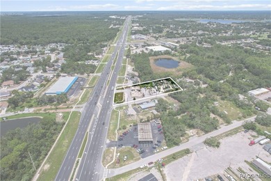 Prime 1.31-acre commercial lot on US HWY 19 in Hudson - photo 15