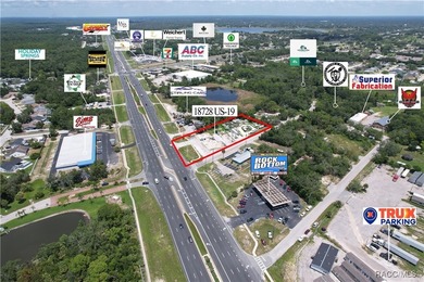 Prime 1.31-acre commercial lot on US HWY 19 in Hudson - photo 17