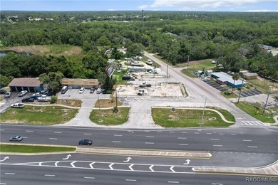 Prime 1.31-acre commercial lot on US HWY 19 in Hudson - photo 18