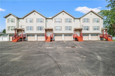 Lake Erie - Ashtabula County Condo For Sale in Ashtabula Ohio