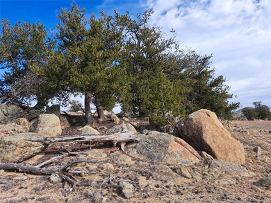 (private lake, pond, creek) Acreage For Sale in Hartsel Colorado