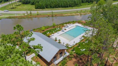 Get ready for a stunning new Stonebrook! This modern beauty - photo 41