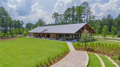 Get ready for a stunning new Stonebrook! This modern beauty - photo 43