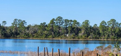 Lake Lot For Sale in Ocklawaha, Florida