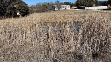 Bring your vision and turn this charming property into the - photo 7
