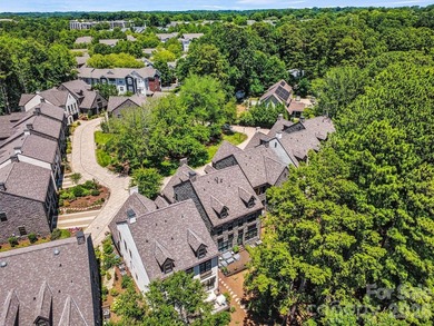 Waterfront home on Lake Cornelius in Davidson! The large great - photo 38