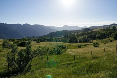 Cloudsrest Ranch is a premier horse and farming property located - photo 5