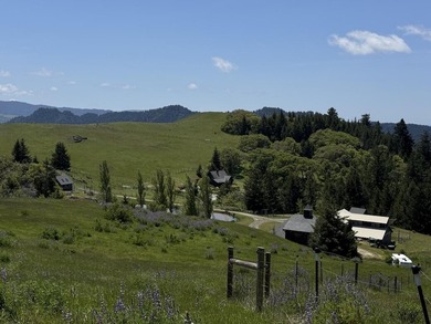 Cloudsrest Ranch is a premier horse and farming property located - photo 9