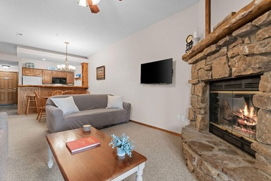 Turn-key lake condo on Indian Point - fully furnished and