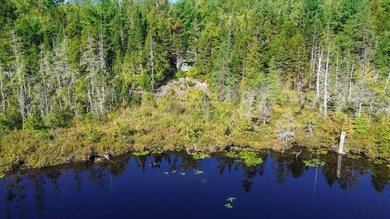 (private lake, pond, coastal) Lot For Sale in Holden Maine