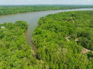 Lake Lot For Sale in Buffalo Junction, Virginia