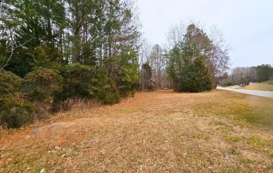Lake Lot For Sale in Chase City, Virginia