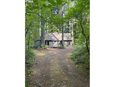 Exceptional Value in the Heart of NorthwoodsThis cabin - photo 13