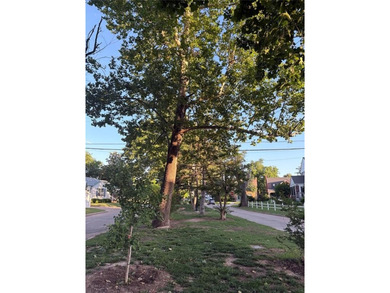 Charming 3-Bed, 1-Bath Home in Desirable Cleveland Area - This