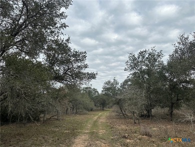 (private lake, pond, creek) Acreage For Sale in Meyersville Texas