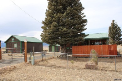 Lake DeWeese Home For Sale in Westcliffe Colorado