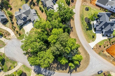 Lake access homesite with assigned boat slip in Eagle's Rest-one - photo 7