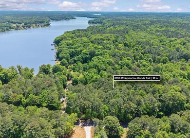 Choose your ideal homesite on this beautiful, wooded lot - photo 1