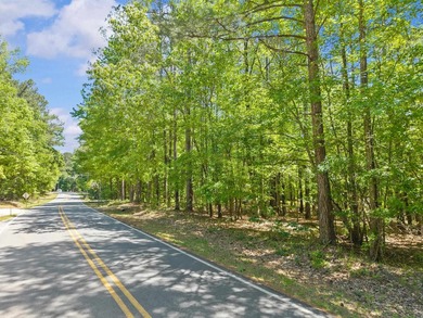 Choose your ideal homesite on this beautiful, wooded lot - photo 2