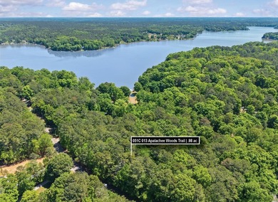 Choose your ideal homesite on this beautiful, wooded lot - photo 3